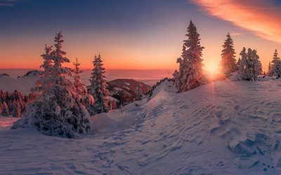 inverno, p&#244;r do sol, paisagem de montanha, neve, floresta, fundo de inverno
