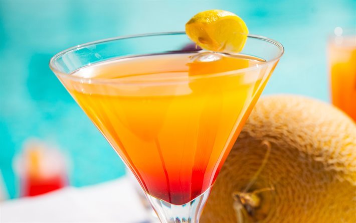 Martini with Rum, cocktail, orange cocktail, different cocktails, martini