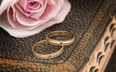 gold wedding rings, pink rose, gold rings, wedding rings, wedding concepts
