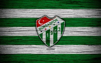 Bursaspor, 4k, Turkki, puinen rakenne, Super Lig, jalkapallo, football club, FC Bursaspor, art, Bursaspor FC