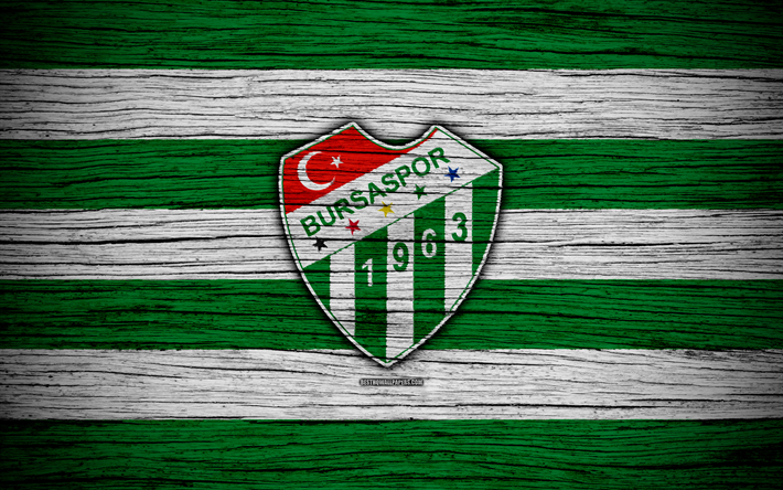 Bursaspor, 4k, Turkey, wooden texture, Super Lig, soccer, football club, FC Bursaspor, art, football, Bursaspor FC