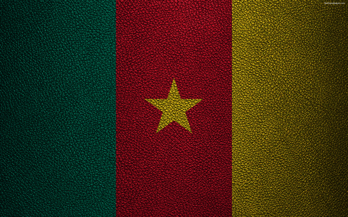Afrika &#252;lkeleri Kamerun bayrağı, 4k, deri dokusu, Afrika, Kamerun bayrak, bayraklar, Kamerun