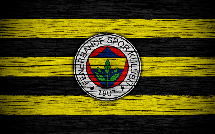 Fenerbahce, 4k, Turkey, wooden texture, Super Lig, soccer, football club, FC Fenerbahce, art, football, FenerbahceFC