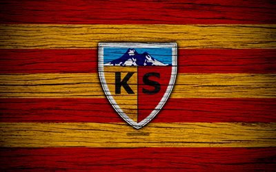 Kayserispor, 4k, Turkey, wooden texture, Super Lig, soccer, football club, FC Kayserispor, art, football, Kayserispor FC
