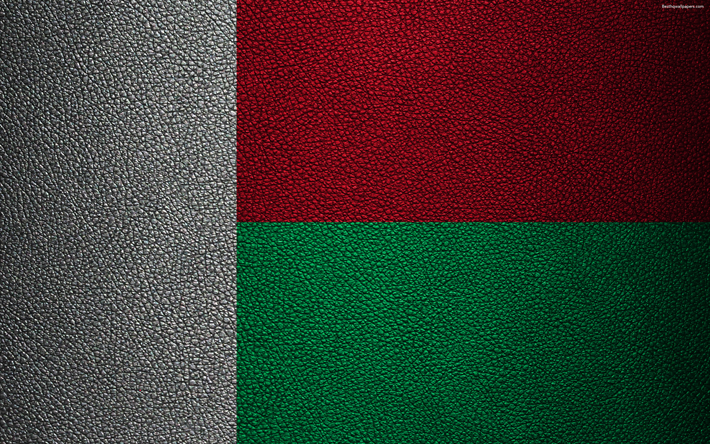 Bandiera del Madagascar, 4k, texture in pelle, Africa, Madagascar, bandiera, bandiere di paesi Africani