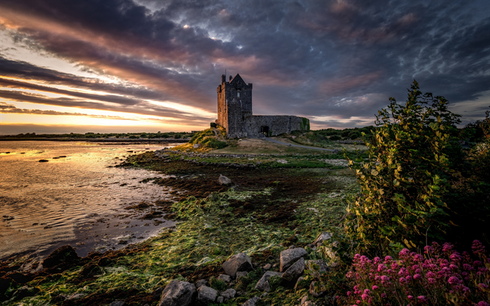 Dunguaire Castle, Irlanda fortaleza de piedra, Condado de Galway, Irlanda, tarde, puesta de sol, lago, hermoso paisaje