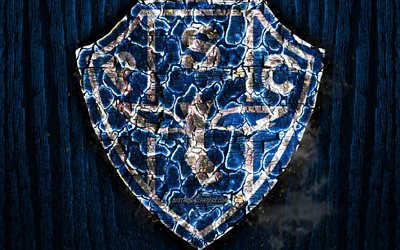 Paysandu FC, arrasada logotipo, Serie B, de madeira azul de fundo, brasileiro de clubes de futebol, Paysandu SC, grunge, futebol, Paysandu logotipo, fogo textura, Brasil