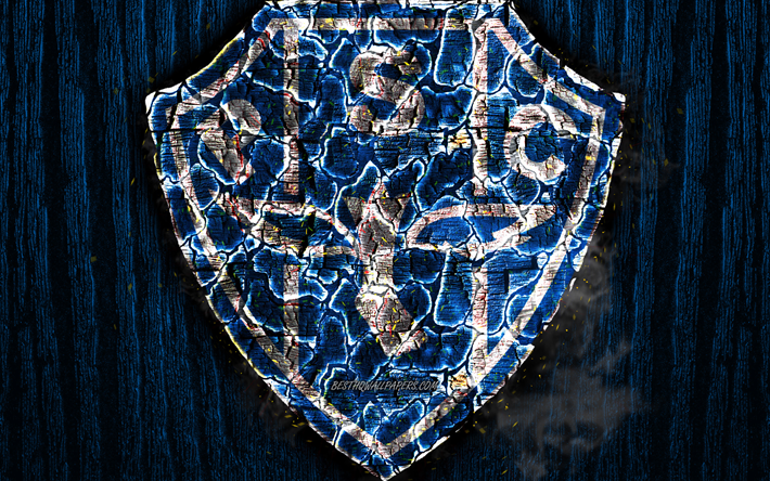 Paysandu FC, bruciata logo, Serie B, blu sfondo di legno, brazilian football club, SC Paysandu, grunge, calcio, Paysandu logo, texture del fuoco, Brasile