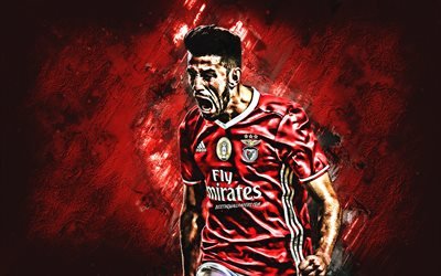 Pizzi, Luis Miguel Afonso Fernandes, Benfica SL, striker, joy, red stone, famous footballers, football, portuguese footballers, grunge, Portugal