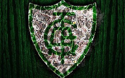 America Mineiro FC, scorched logo, Serie B, green wooden background, brazilian football club, America MG, grunge, football, soccer, America Mineiro logo, fire texture, Brazil