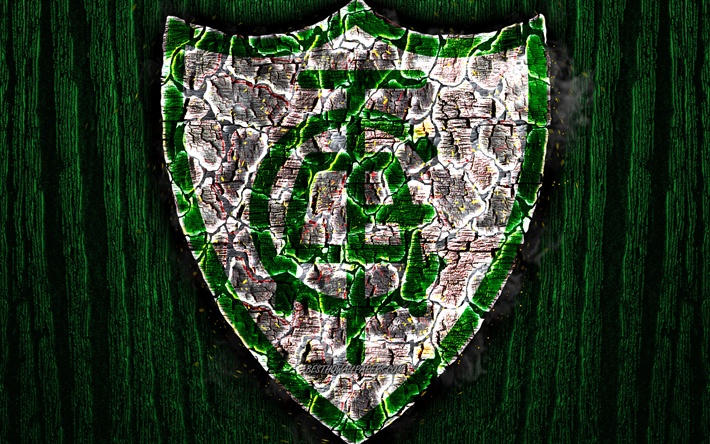 America Mineiro FC, logo, Seri B, yeşil ahşap arka plan, Brezilya Futbol Kul&#252;b&#252;, America MG, grunge, futbol, America Mineiro logo, yangın, doku, Brezilya scorched