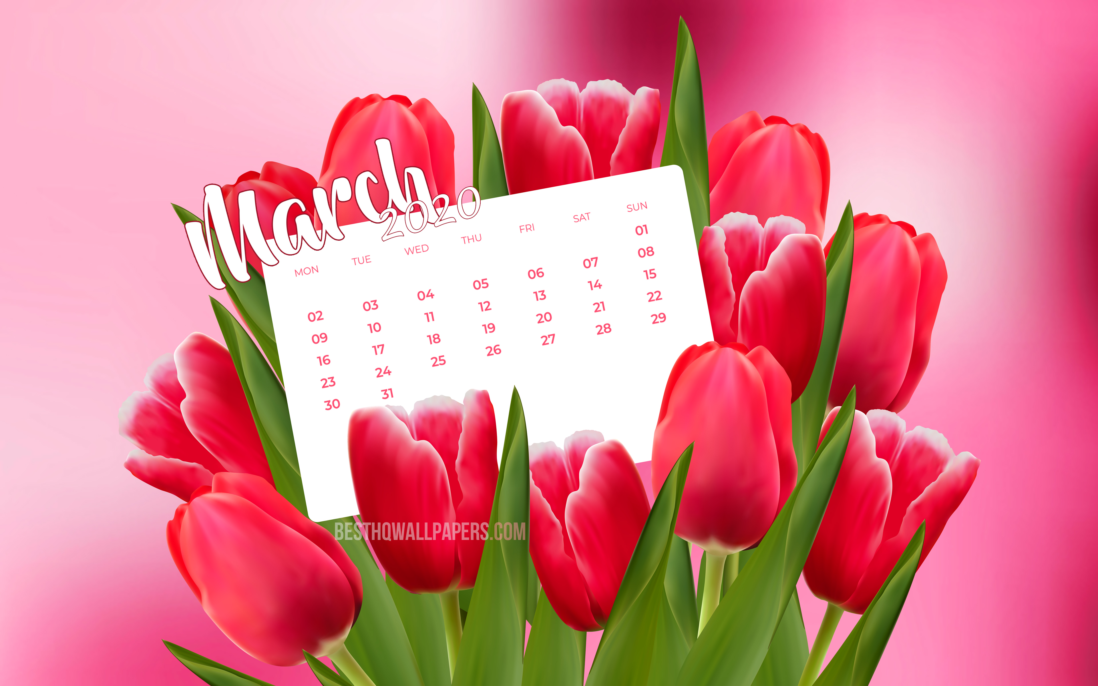 Download wallpapers March 2020 Calendar, pink tulips, 2020 calendar, 4k
