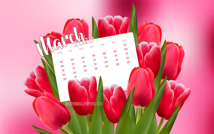 March 2020 Calendar, pink tulips, 2020 calendar, 4k, spring calendars, March 2020, creative, pink backgrounds, March 2020 calendar with tulips, Calendar March 2020, 2020 calendars