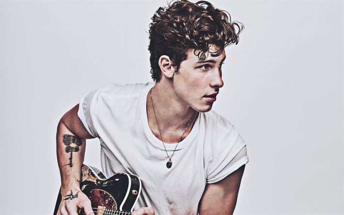 Shawn Mendes with guitar, 2020, canadian singer, music stars, Shawn Peter Raul Mendes, Shawn Mendes, canadian celebrity, Shawn Mendes photoshoot
