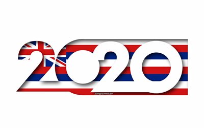 hawaii 2020, us-bundesstaat, flagge von hawaii, wei&#223;er hintergrund, hawaii, 3d-kunst, 2020 konzepte, hawaii flagge, flaggen der amerikanischen staaten, 2020 neue jahr 2020 hawaii fahne