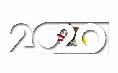 Illinois 2020, US state, Flag of Illinois, white background, Hawaii, 3d art, 2020 concepts, Illinois flag, flags of american states, 2020 New Year, 2020 Illinois flag