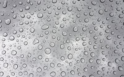 drops on glass, close-up, water drops, gray backgrounds, water backgrounds, drops texture, background with water drops, water, drops on gray background, water drops texture