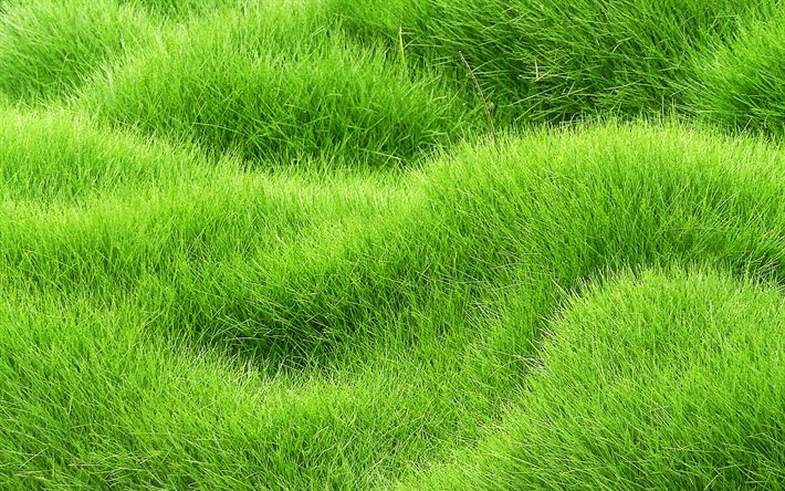 草のカーペットのテクスチャ, 3Dテクスチャ, 草のテクスチャ, 波状の草の背景, 緑の草原を, 草の背景, 自然のテクスチャ, 緑の背景
