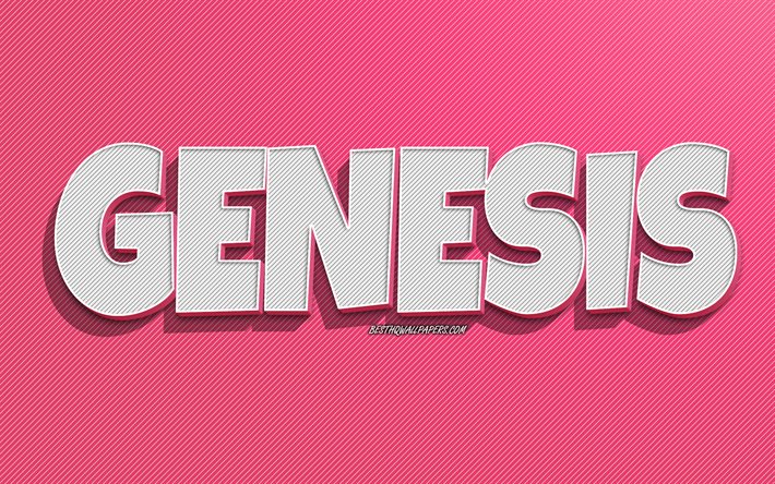 Genesis, sfondo con linee rosa, sfondi con nomi, nome Genesis, nomi femminili, biglietto di auguri Genesis, disegni al tratto, foto con nome Genesis