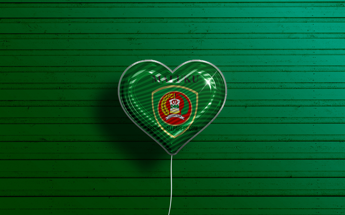 Maluku&#39;yu Seviyorum, 4k, ger&#231;ek&#231;i balonlar, yeşil ahşap arka plan, Maluku G&#252;n&#252;, Endonezya eyaletleri, Maluku bayrağı, Endonezya, bayraklı balon, Maluku