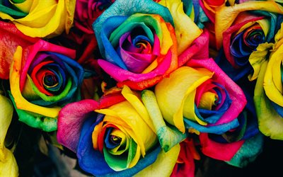 bunte rosen, 4k, strau&#223;, nahaufnahme, regenbogen, bunte blumen, rosen