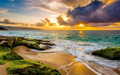 Hawaii, 4k, ocean, beach, coast, sunset, America, USA