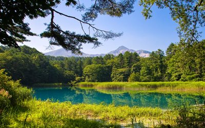 Bandai-Asahi Parque Nacional, floresta, japon&#234;s marcos, lago, ver&#227;o, Ilha De Honshu, Jap&#227;o, &#193;sia