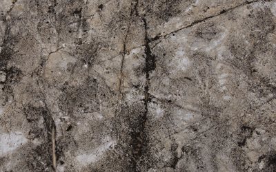 piedra gris de textura, agrietada pared, piedra de fondo, en la pared, los ara&#241;azos
