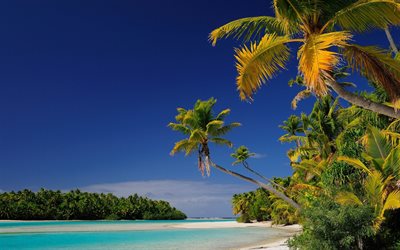 Aitutaki, isole tropicali, palme, spiaggia, Oceania, isole Cook, Isole, laguna azzurra, Araura e Utataki