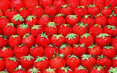 erdbeer-textur, makro, reife, erdbeere, beeren -, lebensmittel-texturen, obst texturen, frische fr&#252;chte, beeren texturen hintergrund mit erdbeere