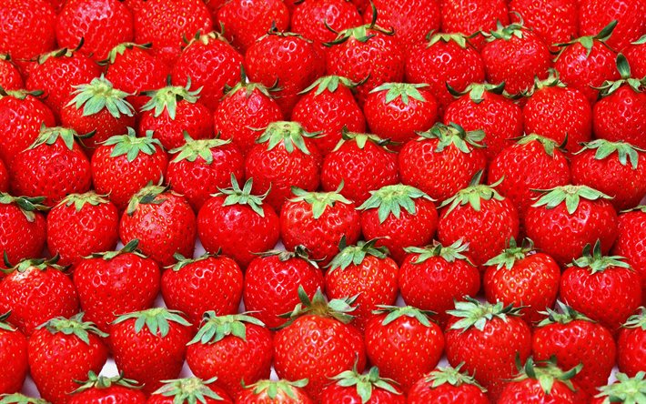strawberry konsistens, makro, mogna jordgubbar, b&#228;r, mat texturer, frukt texturer, jordgubbar, f&#228;rsk frukt, b&#228;r texturer, bakgrund med jordgubbar