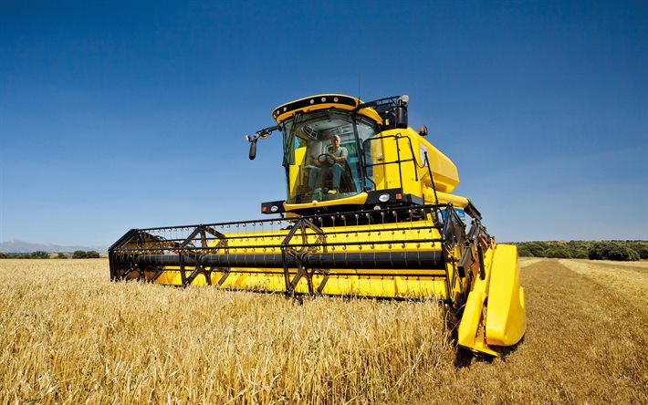 A New Holland TC5 80, 4k, colhedora, 2020 combina, a sega do trigo, a colheita conceitos, A New Holland