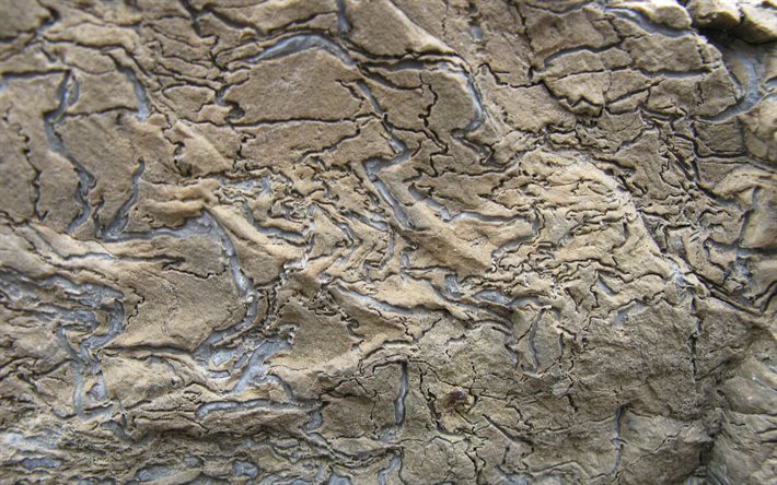 grigio muro di pietra, 4k, di roccia naturale, texture, pietra, grigio, grunge, sfondo, macro, pietre grigie, sfondi, sfondo grigio, grigio pietra, sfondo naturale di roccia