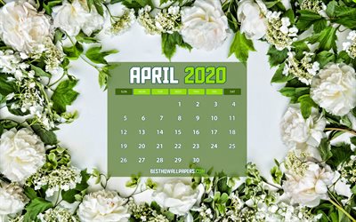 4k, 月2020年のカレンダー, 白色の春の花, 2020年のカレンダー, 春のカレンダー, 月2020, 創造, 月2020年のカレンダーの花, 2020年までの月のカレンダー, カレンダー月日2020年, 作品