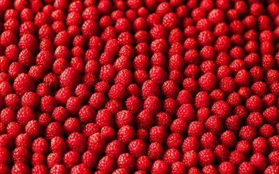 raspberries texture, 4k, ripe raspberries, berries, food textures, fruits textures, raspberries, fresh fruits, berries textures, background with raspberries