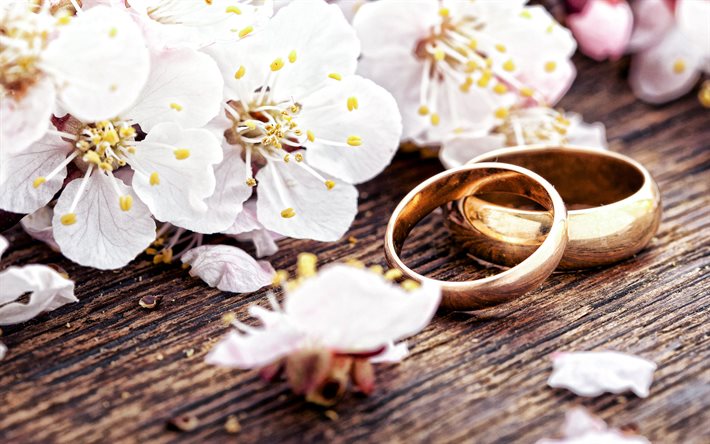 mariage anneaux d&#39;or, au printemps, des fleurs de pommiers, de mariage concepts, concepts de mariage, de fleurs blanches, d&#39;anneaux
