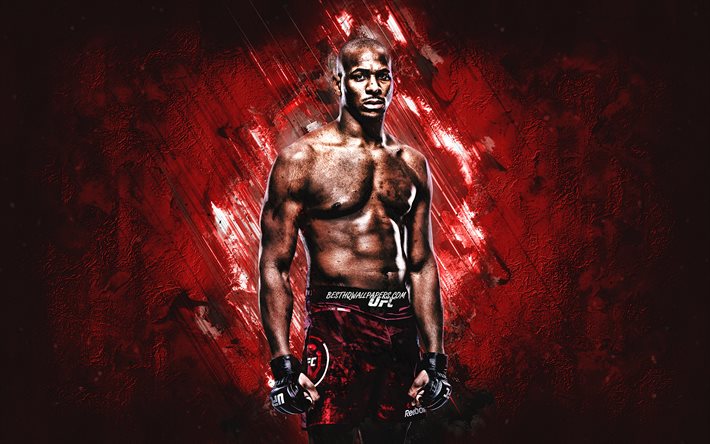 マイクロドリゲス, UFC, アメリカの戦闘機, 肖像, 赤石の背景, 格闘大会