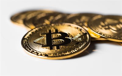 bitcoin, gold coins, bitcoin logo, coin with bitcoin sign, cryptocurrency, finance concepts, bitcoin sign