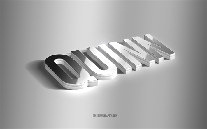Quinn, silver 3d art, gray background, wallpapers with names, Quinn name, Quinn greeting card, 3d art, picture with Quinn name