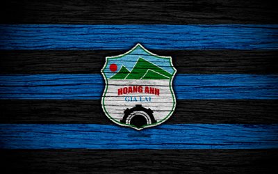 Hoang Anh Gia Lai FC, 4k, logo, V League 1, soccer, Vietnam, football club, Asia, Hoang Anh Gia Lai, wooden texture, FC Hoang Anh Gia Lai