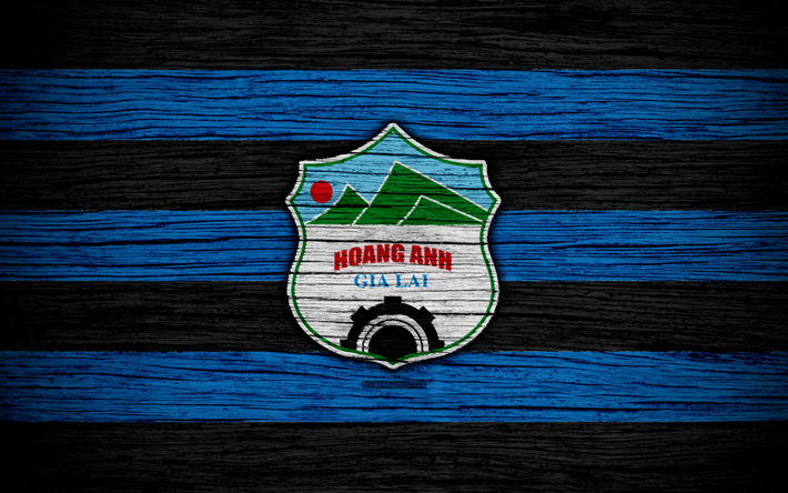 Hoang Anh Gia Lai FC, 4k, logo, V-League 1, il calcio, il Vietnam, il club di calcio, Asia, Hoang Anh Gia Lai di legno, texture, FC Hoang Anh Gia Lai