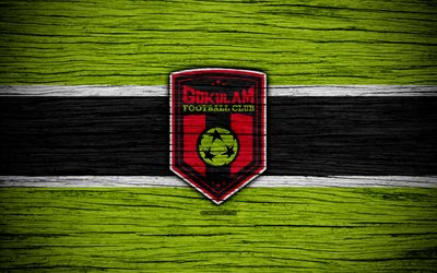 Gokulam FC, 4k, logo, I-League, soccer, India, football club, Gokulam, wooden texture, FC Gokulam