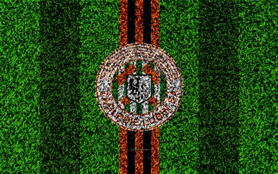 Zaglebie Lubin FC, 4k, logo, football lawn, Polish football club, green grass texture, black orange lines, Ekstraklasa, Lubin, Poland, football, art
