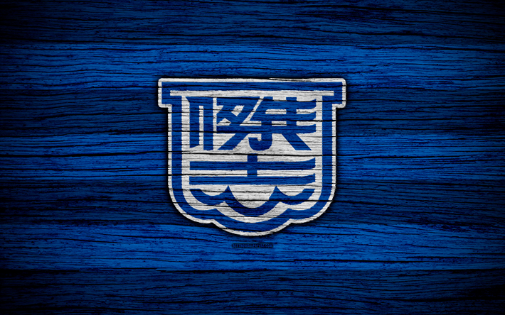 Kitchee FC, 4k, logo, Hong Kong Premier League, football, club de football, en Asie, &#224; Hong Kong, Kitchee, texture de bois, le FC Kitchee