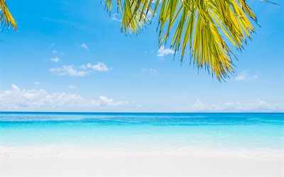 paysage de mer, oc&#233;an, plage, tropical, &#238;le, l&#39;&#233;t&#233;, le lagon bleu, azur, sable blanc