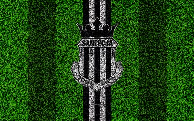 Sandecja Nowy Sacz, 4k, logo, football lawn, Polish football club, green grass texture, black and white lines, Ekstraklasa, Nowy Sacz, Poland, football, art