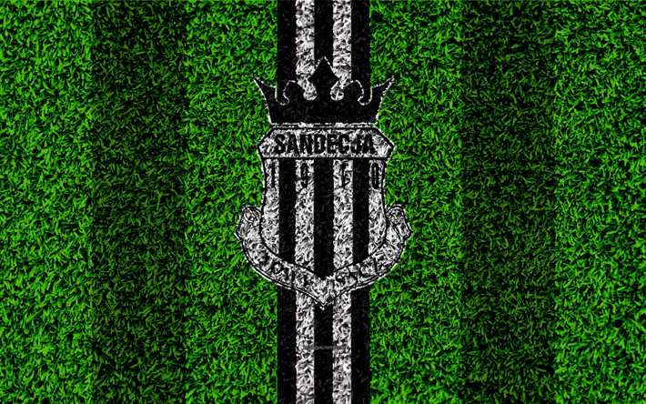 Sandecja Nowy Sacz, 4k, logo, football lawn, Polish football club, green grass texture, black and white lines, Ekstraklasa, Nowy Sacz, Poland, football, art