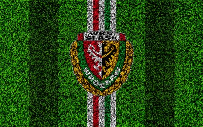 Slask Wroclaw FC, 4k, logo, calcio prato, polacco football club, texture, verde, erba, blu, bianco, linee, Ekstraklasa, Wroclaw, in Polonia, calcio, arte