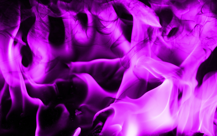 violetti tulipalo, 4k, l&#228;hikuva, violetti palo liekit, violetti kokko, palo liekit, violetti palo-rakenne, makro, palo-kuvioita