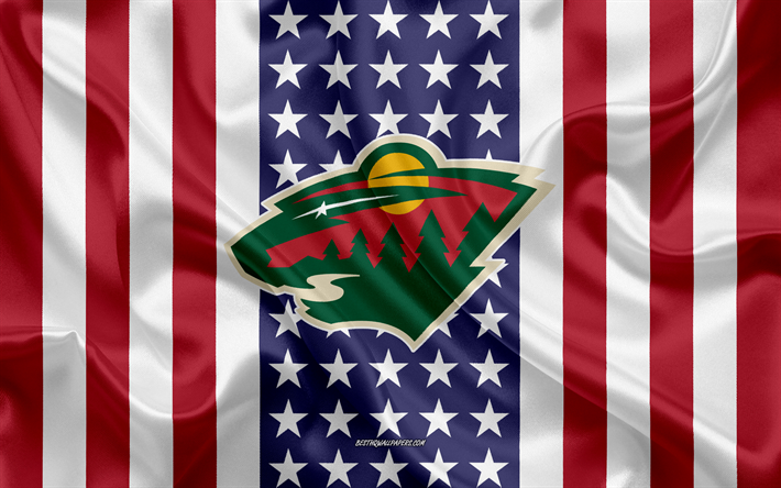 Minnesota Wild, 4k, logo, stemma, seta, trama, bandiera Americana, American hockey club, NHL, St Paul, Minnesota, USA, Hockey, hockey su ghiaccio, seta bandiera